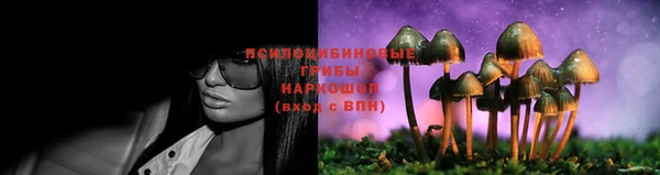 соль курить ск Алексеевка