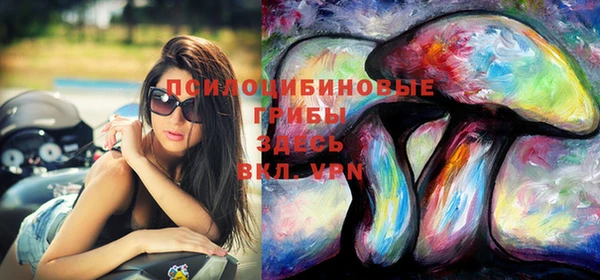 соль курить ск Алексеевка