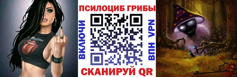 MEGA tor  Николаевск  Галлюциногенные грибы Magic Shrooms  купить наркотик 